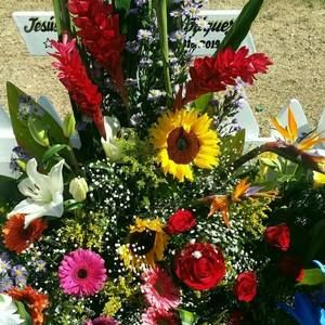 Meet your Posher, Dalia